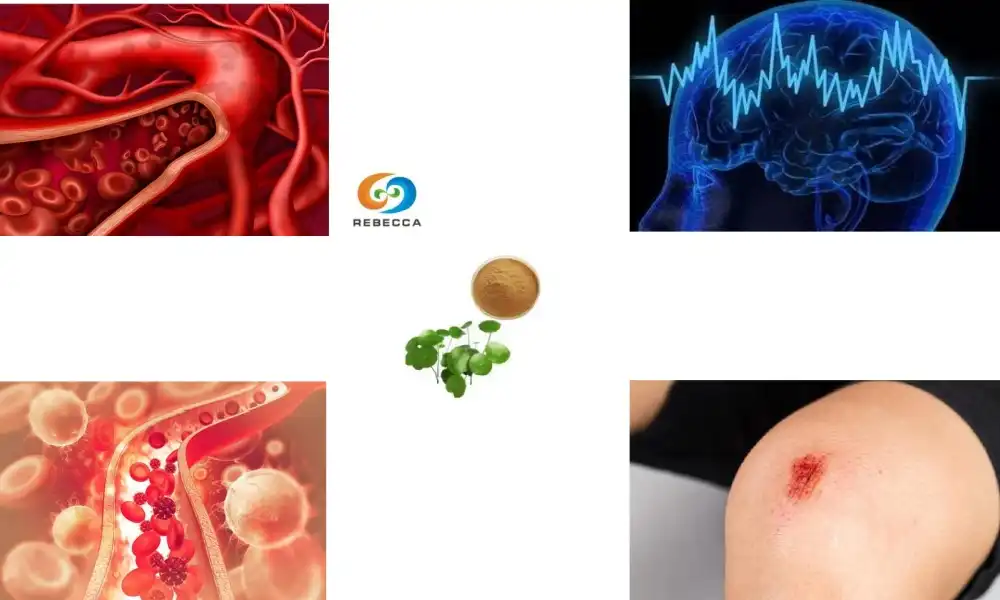How is centella asiatica used in traditional medicine?